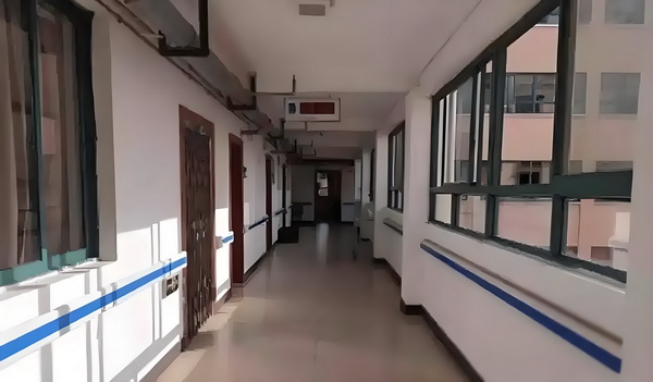 暴君的绝世丑妾
